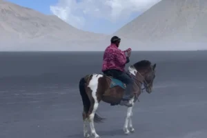 5 Fakta Menarik Kuda Bromo yang Wajib Anda Tahu Sebelum Naik ke Kawah Bromo