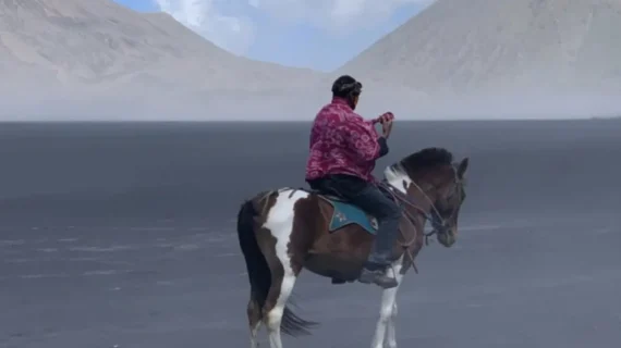 Kuda Bromo mengantar wisatawan menuju Kawah Bromo