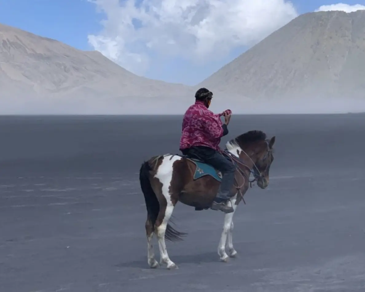 Kuda Bromo mengantar wisatawan menuju Kawah Bromo