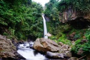 5 Alasan Air Terjun Coban Jahe Jadi Destinasi Favorit Wisata Alam Malang yang Wajib Dikunjungi