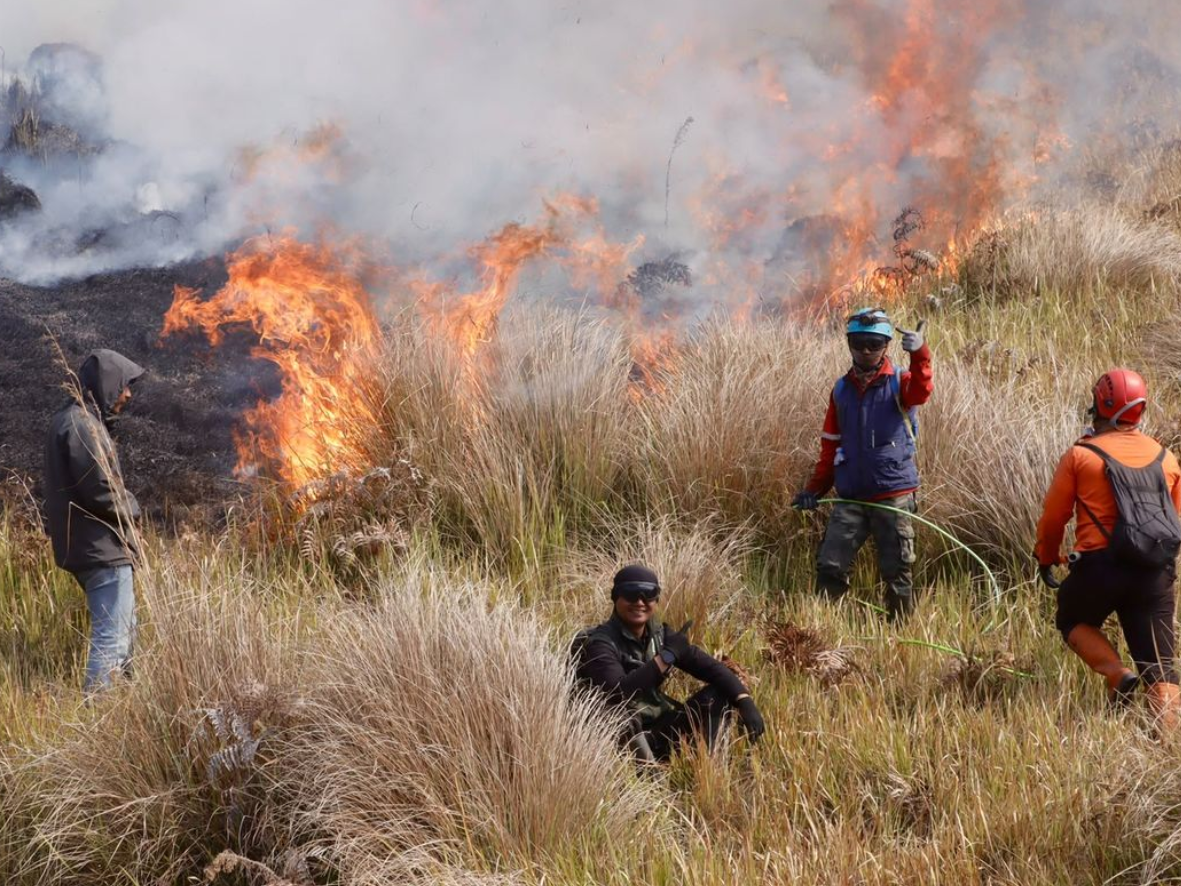Bromo Ditutup