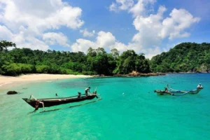 5 Alasan Taman Nasional Meru Betiri Wajib Masuk Itinerary Liburan Jawa Timur