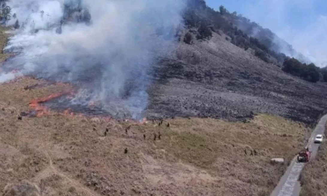 kebakaran Gunung Bromo