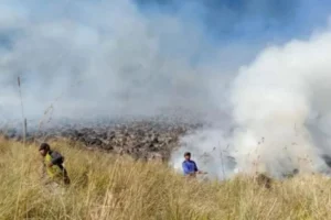 5 Fakta Kebakaran Bromo Terbaru: Apakah Masih Aman Dikunjungi? Ini Penjelasan Lengkapnya