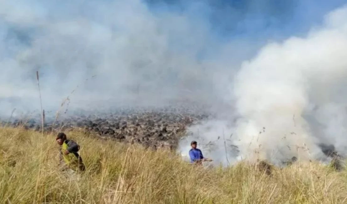 kebakaran bromo